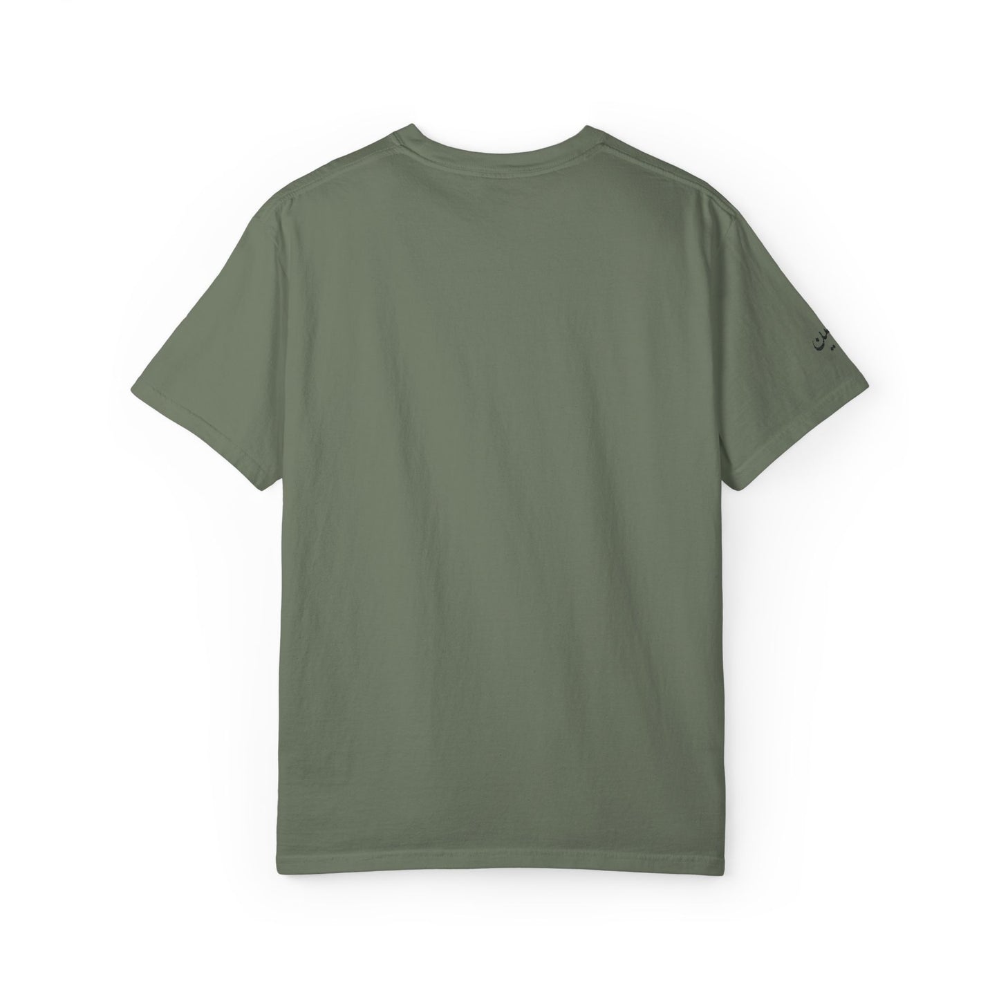 Palestinian falafel garment-dyed tee