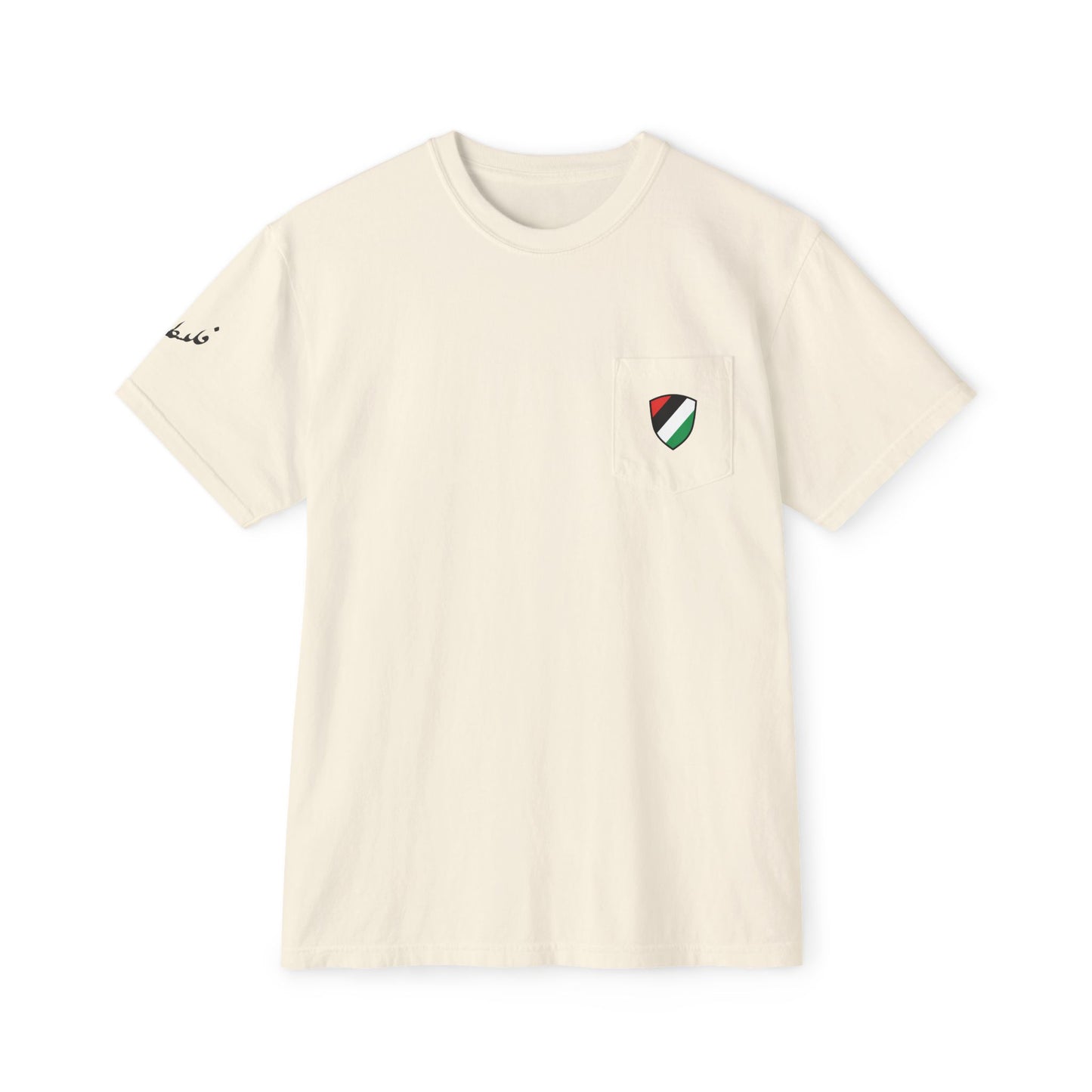 Protect Palestine garment-dyed pocket tee